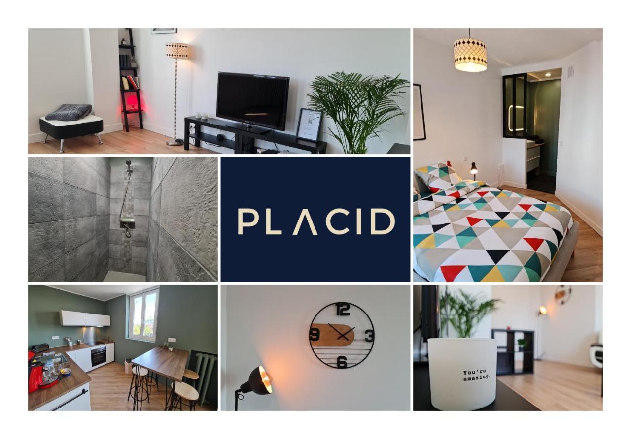 Le Scottmanhouse - Appartement Prive - Centre Ville - Gare - Wi-Fi Арас Екстериор снимка